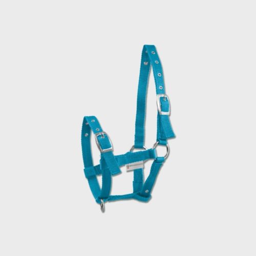 Waldhausen | Licol pour Poulain Triple - Bleu Azur